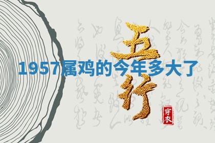 朱姓2026年01月15日出生的男孩子命理分析与起名攻略