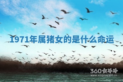 2025年10月19日求财打牌财神吉位