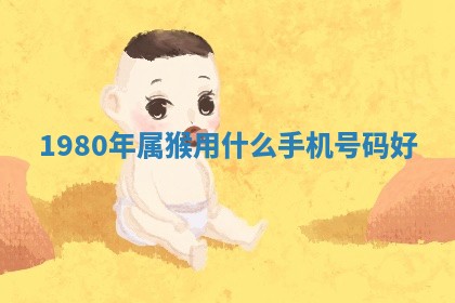 2026年03月01日出生的卢姓男孩子取名指南：吉祥好听的名字推荐