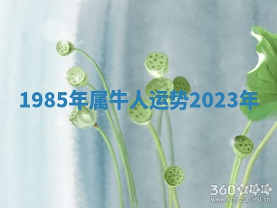 今天2025年6月19日完婚老黄历适合吗,农历2025年五月廿四结婚日子