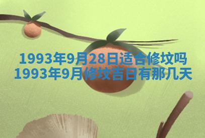 2026年02月08日许姓女宝宝起名必读：八字喜忌用字详解