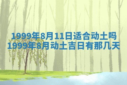 夏姓男宝宝名字精选：2026年02月03日生辰八字起名技巧