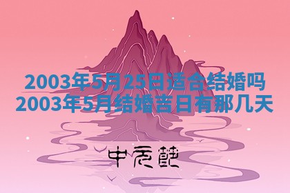 农历2025年五月廿二黄历商业启动适合吗,这天开业合适吗