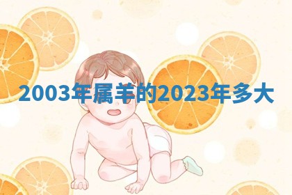 朱姓2026年01月15日出生的男孩子命理分析与起名攻略