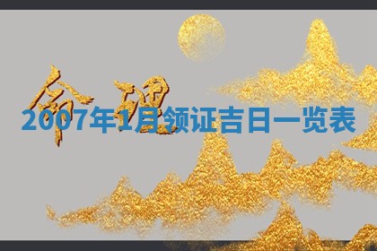 2025年6月25日适合办证吗,领证吉日查询