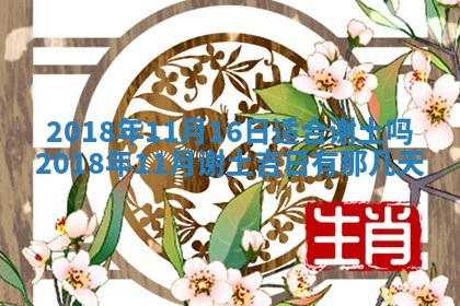 2026年02月19日萧姓女宝宝起名必读：八字喜忌用字详解
