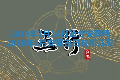 2026年02月27日生辰八字起名：杜姓女孩子取什么名字最合适