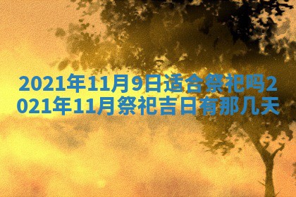 2025年11月18日各时辰财神吉位详细解析