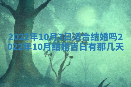 2025年11月4日打麻将财神吉位查询