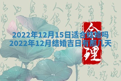 熊姓2026年02月17日出生女孩子取名宜用字大全