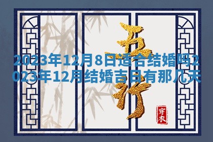 2026年02月25日农历二〇二六年正月初九出生的梁姓女宝宝取名全攻略