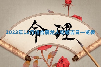 2026年02月25日农历二〇二六年正月初九出生的梁姓女宝宝取名全攻略