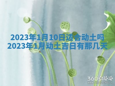 2026年01月25日农历二〇二五年腊月初七出生的蔡姓女宝宝取名全攻略