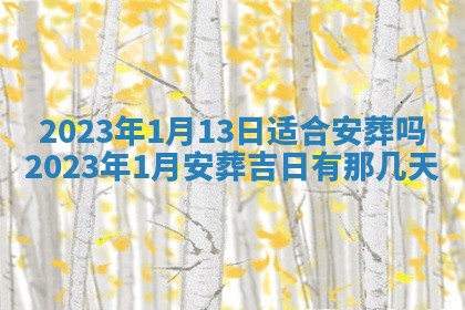 2026年01月25日农历二〇二五年腊月初七出生的蔡姓女宝宝取名全攻略