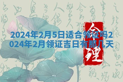 2026年02月25日农历二〇二六年正月初九出生的梁姓女宝宝取名全攻略