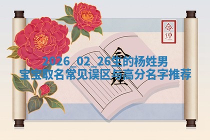 2026.02.26生的杨姓男宝宝取名常见误区与高分名字推荐
