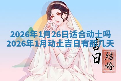 如何给2026年01月18日出生的黎姓男宝宝起个好名字？专业分析与建议