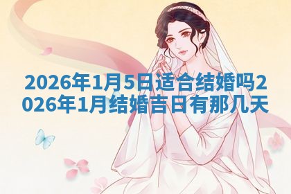 如何给2026年01月18日出生的黎姓男宝宝起个好名字？专业分析与建议