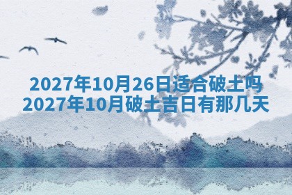 2025年10月28日打麻将在哪个吉位打麻将攻略