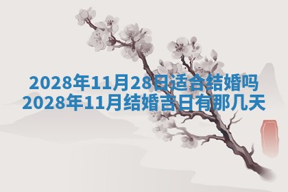 熊姓2026年02月17日出生女孩子取名宜用字大全
