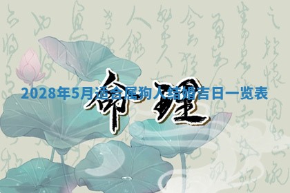 2025年11月4日打麻将财神吉位查询