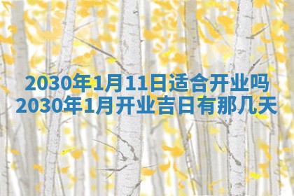 八字五行与文姓：2026年02月21日出生男宝宝的理想名字分析