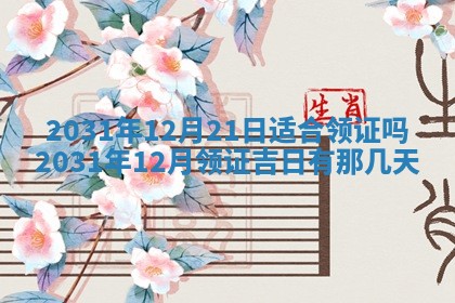 今天是否适宜嫁娶,2025年7月5日黄历宜忌分析