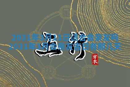 2025年11月20日各时辰财神方向详细解析