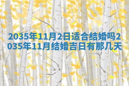 2026年03月08日出生的张姓女孩子取名指南：吉祥好听的名字推荐