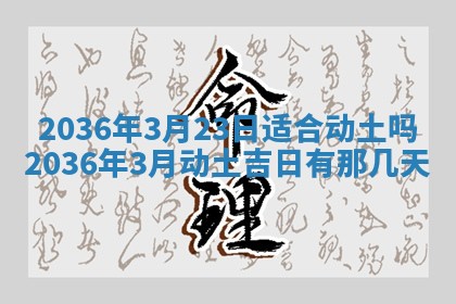 2026年03月08日出生的张姓女孩子取名指南：吉祥好听的名字推荐