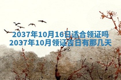 2026年公历3月适合迁居的日子丨搬家择日