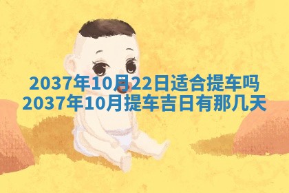 2025年12月11日打麻将朝向查询