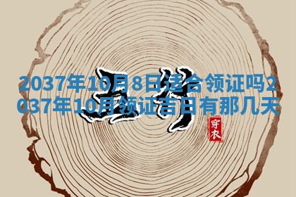邹姓宝宝起名禁忌与技巧：2026年03月15日出生男孩子最佳名字