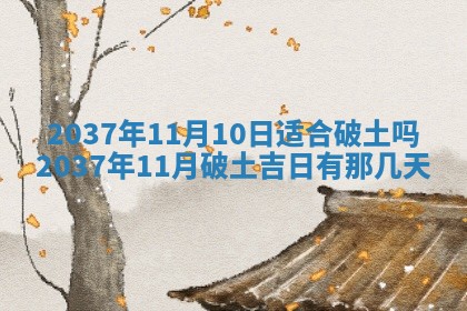 八字五行与武姓：2026年03月02日出生男宝宝的理想名字分析
