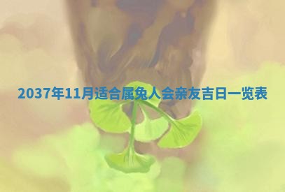 2025年12月08日财神方位,财神方位详解