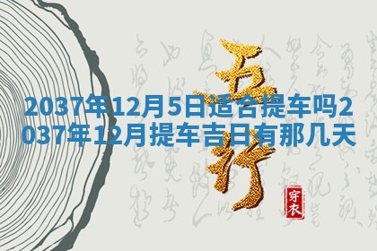 今日万年历2025年6月23日动土吉日,动土好日子查询