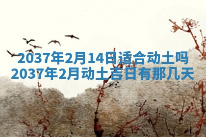 黄历2025年6月13日开业推荐吗