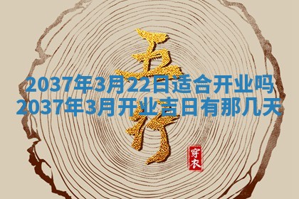2025年12月11日打麻将朝向查询
