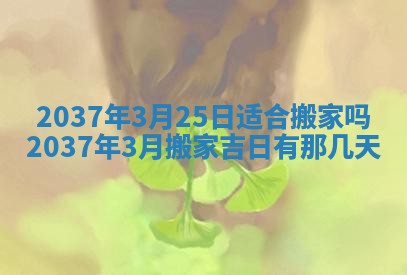 邹姓宝宝起名禁忌与技巧：2026年03月15日出生男孩子最佳名字