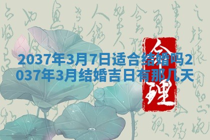 2025年12月08日财神方位,财神方位详解