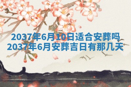 八字五行与武姓：2026年03月02日出生男宝宝的理想名字分析