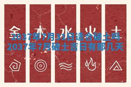 八字五行与武姓：2026年03月02日出生男宝宝的理想名字分析