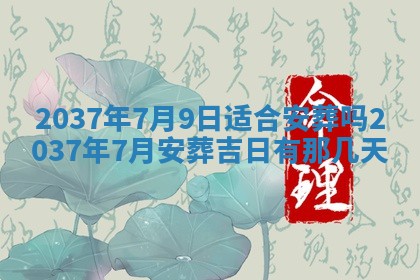 2025年12月11日打麻将朝向查询