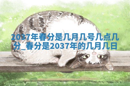 陈姓宝宝起名禁忌与技巧：2026年01月24日出生男孩子最佳名字