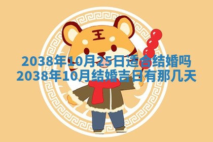 2025年12月21日打麻将在哪个方向详解
