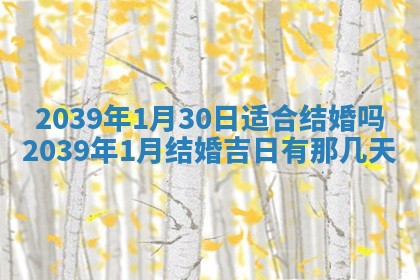 八字五行与武姓：2026年03月02日出生男宝宝的理想名字分析