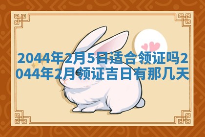 石姓女孩子起名技巧：2026年03月01日生辰八字取名指南
