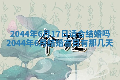 石姓女孩子起名技巧：2026年03月01日生辰八字取名指南
