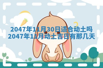 夏姓男宝宝名字精选：2026年02月03日生辰八字起名技巧