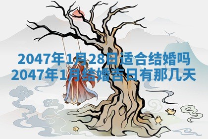 崔姓2026年02月27日出生的女孩子命理分析与起名攻略